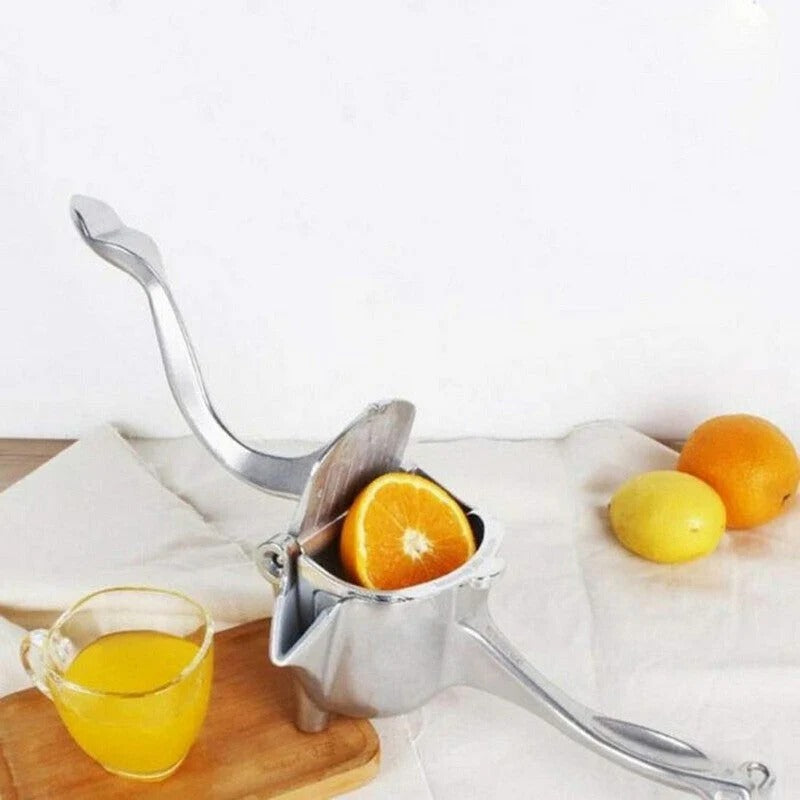 Fruit Juicer