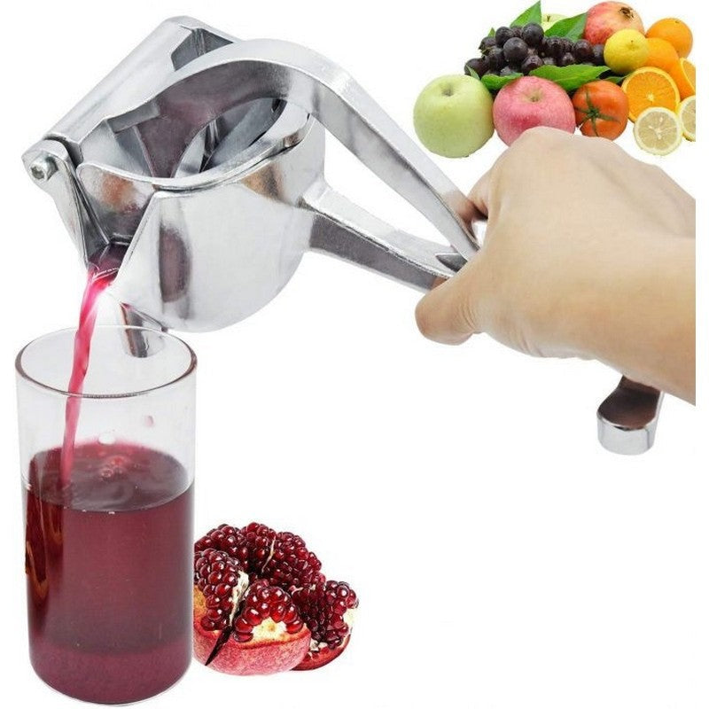Fruit Juicer
