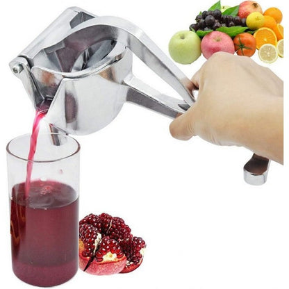 Fruit Juicer