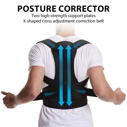 Posture belt